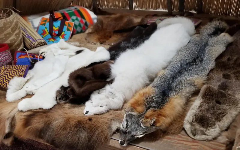 An array of animal furs, beaded bags, and woven baskets