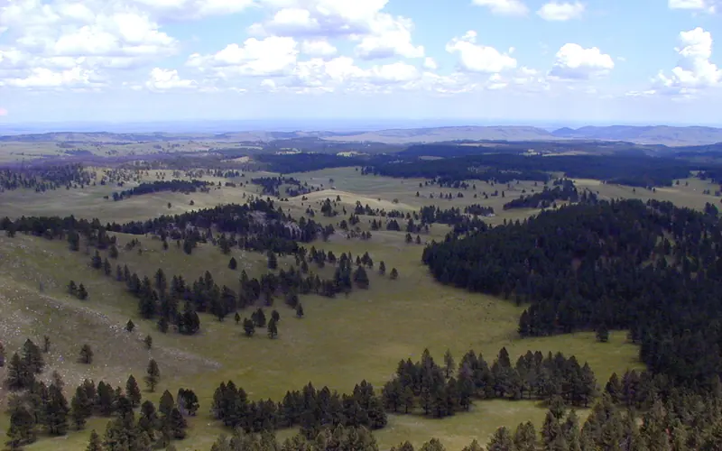 rolling hills of forest and prairie landscape