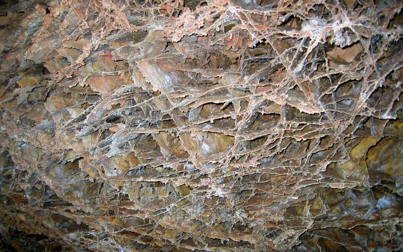 criss-cross-patterned calcite fins of the cave feature boxwork