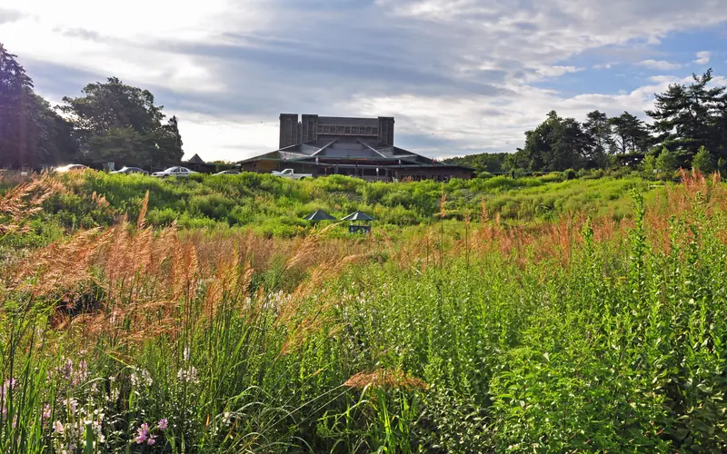 Native garden with the Filene Center in the background
