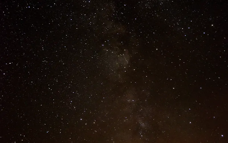 stars and the Milky Way galaxy over a desert juniper tree